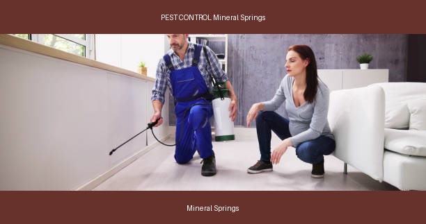 PEST CONTROL Mineral Springs